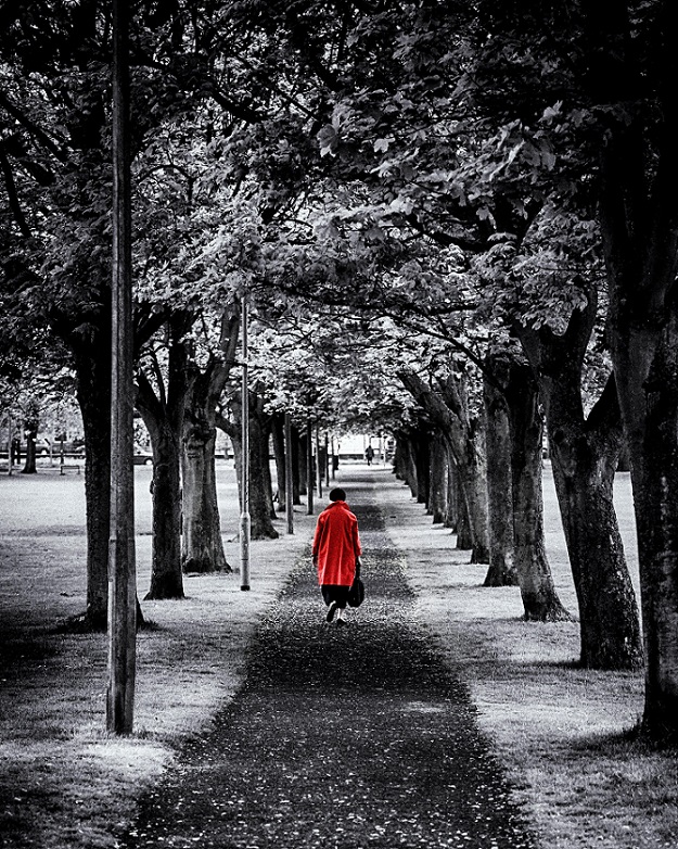 English Composition I